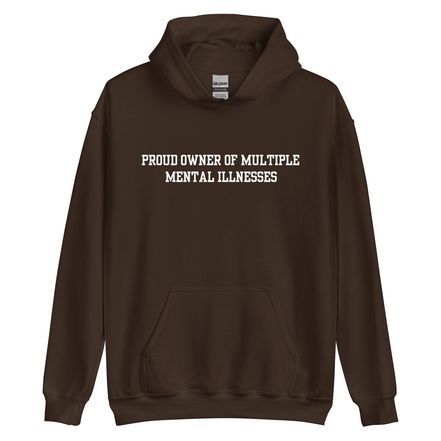 Proud Owner Of Multiple Metal Illnesses Hoodie