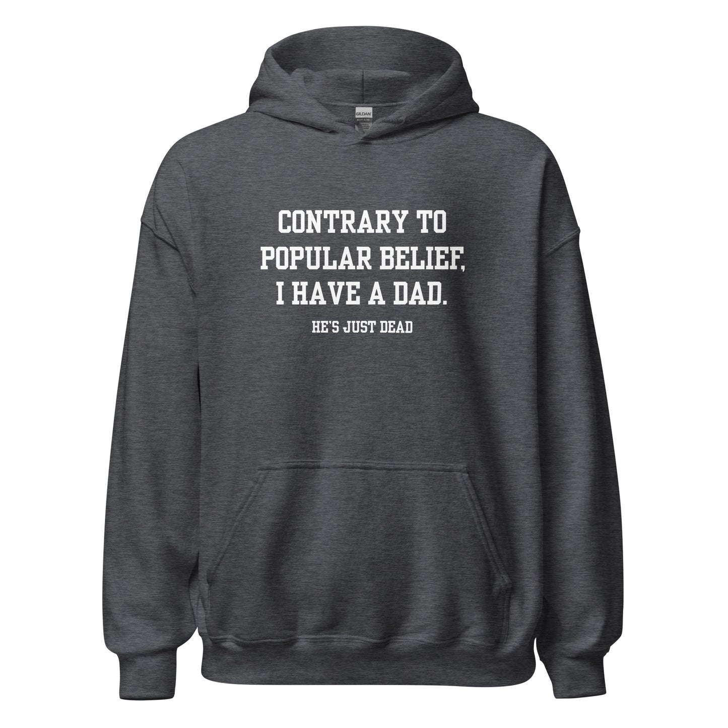 Popular Belief Dad Hoodie