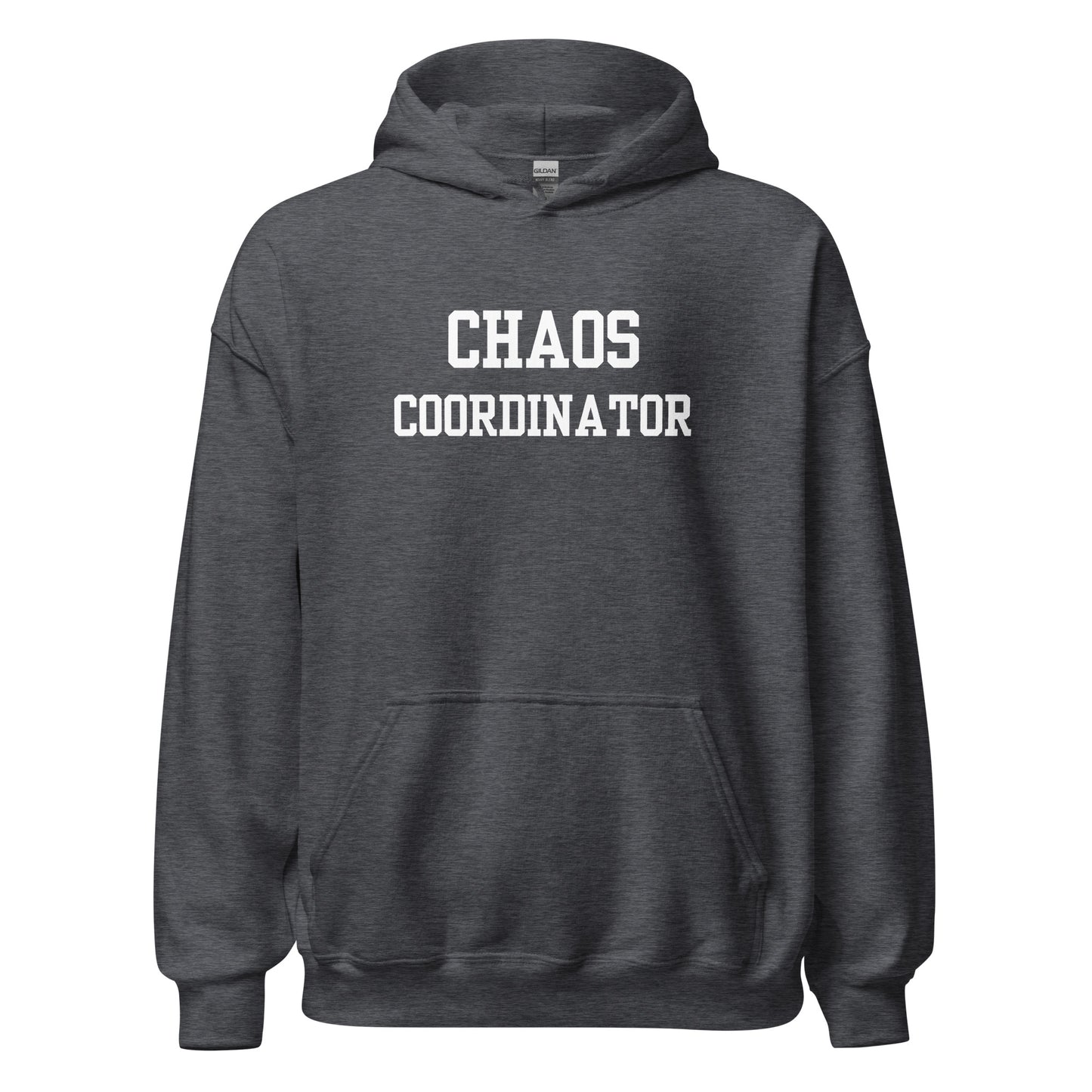 Chaos Coordinator Hoodie Gray