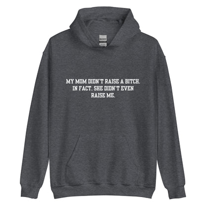 Momma Didn't Raise Me Hoodie