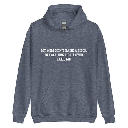 Momma Didn't Raise Me Hoodie