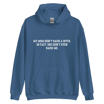 Momma Didn't Raise Me Hoodie