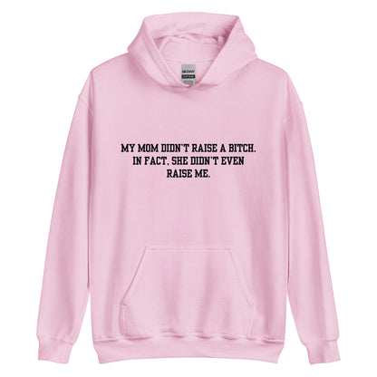 Momma Didn't Raise Me Hoodie