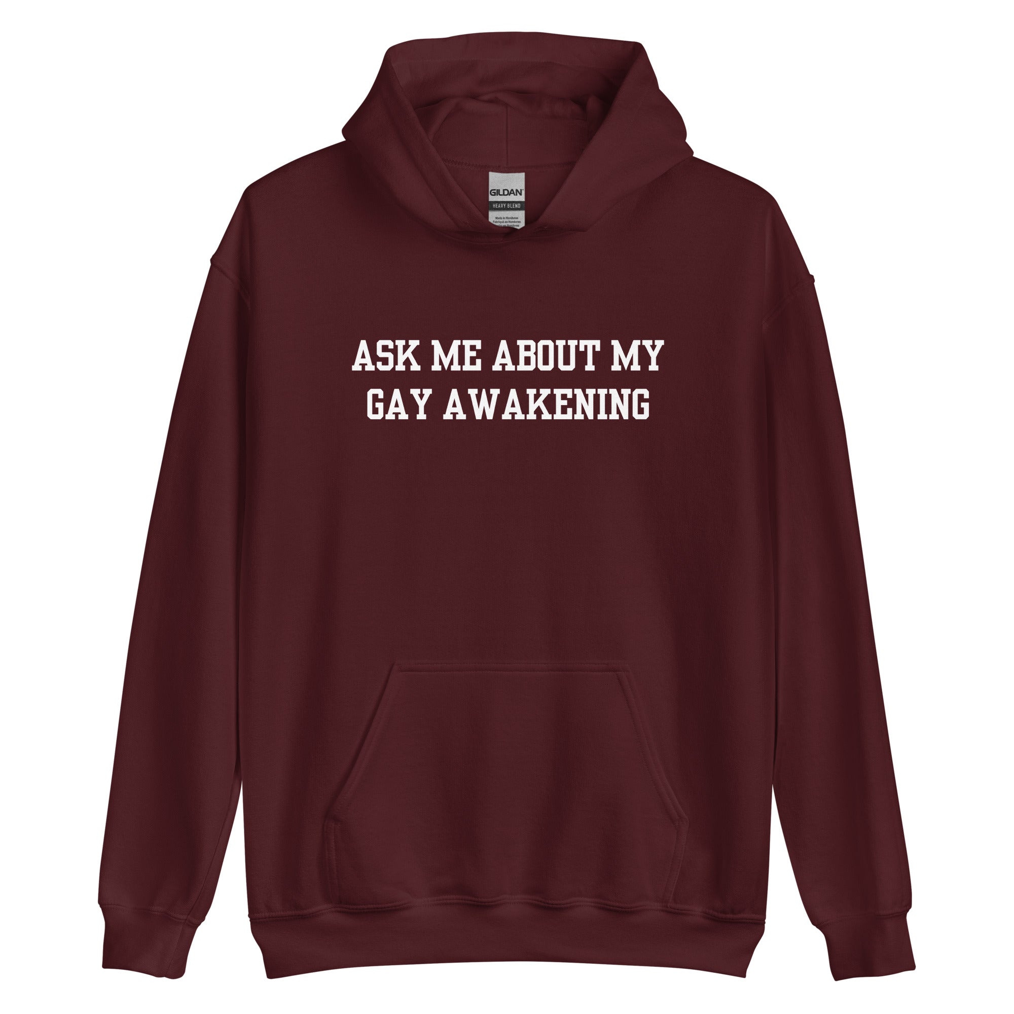 Ask Me About My Gay Awakening Hoodie