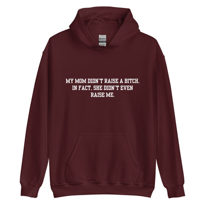 Momma Didn't Raise Me Hoodie