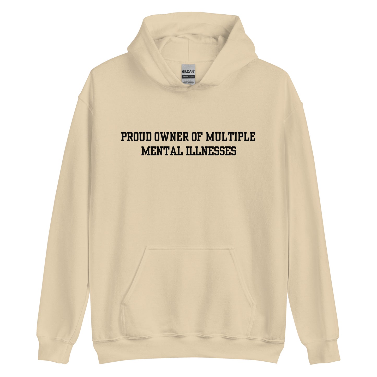 Proud Owner Of Multiple Metal Illnesses Hoodie