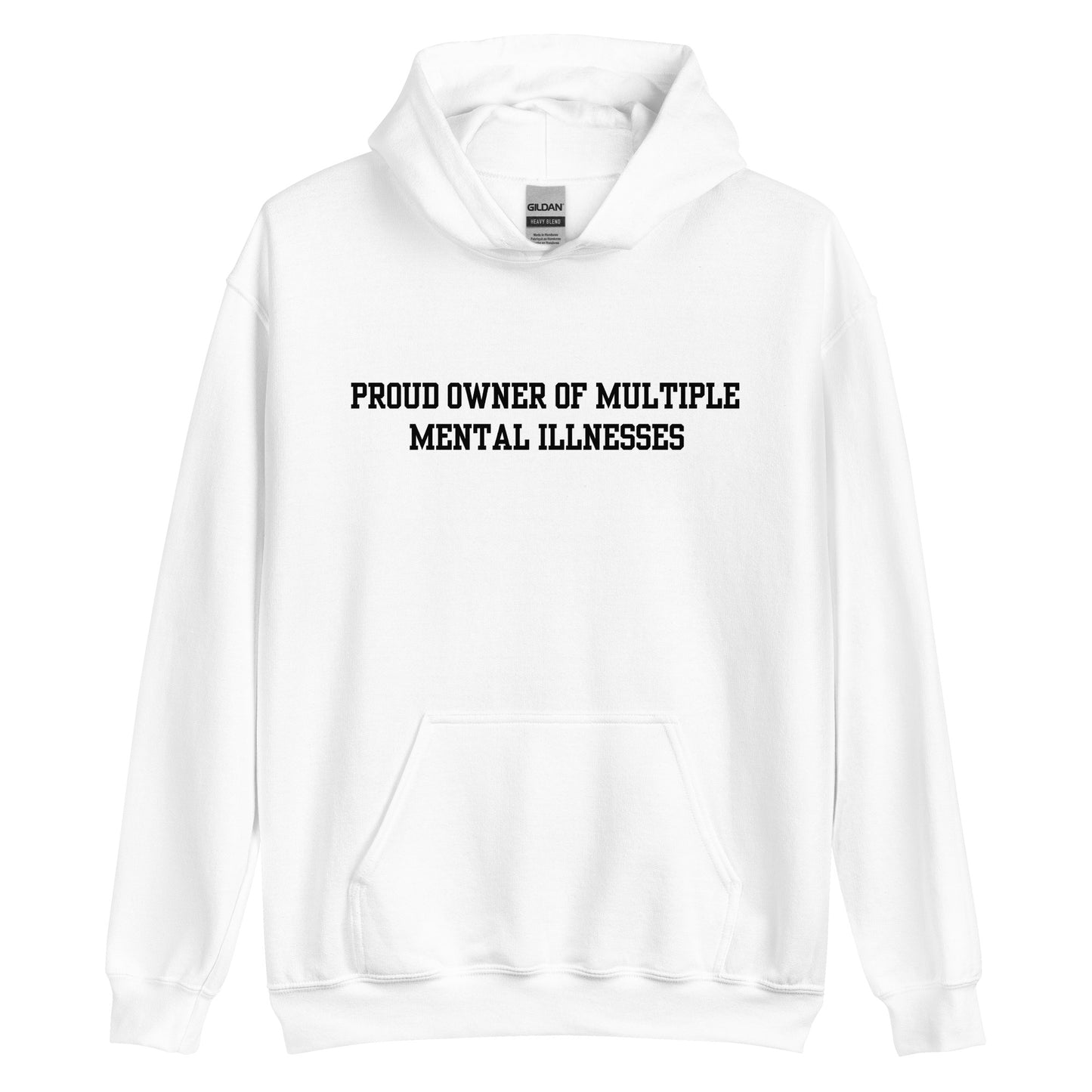 Proud Owner Of Multiple Metal Illnesses Hoodie