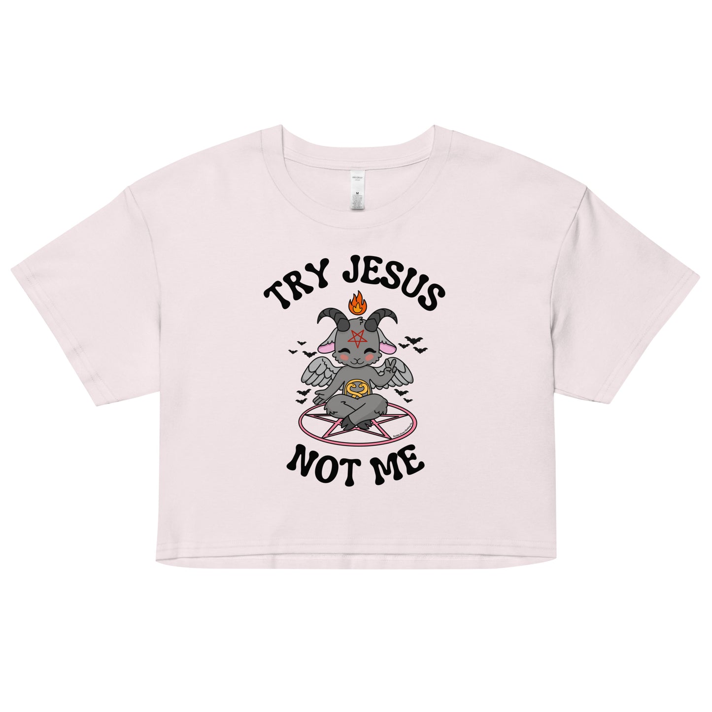 Try Jesus Crop Top